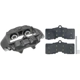 Purchase Top-Quality Front Left Rebuilt Caliper With Pad by RAYBESTOS - RC8002 pa1