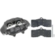 Purchase Top-Quality Front Left Rebuilt Caliper With Pad by RAYBESTOS - RC8002 pa2