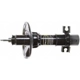 Purchase Top-Quality Front OESpectrum Strut by MONROE/EXPERT SERIES - 71993 pa1