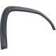 Purchase Top-Quality Front Passenger Side Wheel Opening Molding - GM1291265 pa3