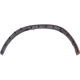 Purchase Top-Quality Front Passenger Side Wheel Opening Molding - LX1291101 pa2