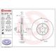 Purchase Top-Quality Front Premium Rotor by BREMBO - 09.6747.10 pa6