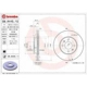 Purchase Top-Quality Front Premium Rotor by BREMBO - 09.A445.11 pa3