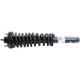 Purchase Top-Quality Front Quick Strut Assembly by MONROE - 171583R pa1