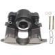 Purchase Top-Quality Front Rebuilt Caliper With Hardware by RAYBESTOS - FRC10196 pa20