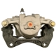 Purchase Top-Quality PROMECANIX - 10-02250-1 - Disc Brake Caliper pa1