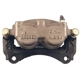 Purchase Top-Quality PROMECANIX - 11-21182-1 - Disc Brake Caliper pa2