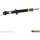 Purchase Top-Quality Front Shock Absorber by MOTORCRAFT - ASH24745 pa1