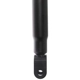 Purchase Top-Quality PRT - 173694 - Suspension Shock Absorber pa3