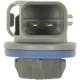 Purchase Top-Quality BLUE STREAK (HYGRADE MOTOR) - HP4245 - Tail Light Socket pa3