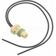 Purchase Top-Quality Front Side Marker Light Socket by BLUE STREAK (HYGRADE MOTOR) - HP4560 pa13