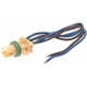 Purchase Top-Quality Front Side Marker Light Socket by BLUE STREAK (HYGRADE MOTOR) - HP4560 pa16