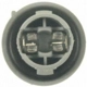 Purchase Top-Quality Front Side Marker Light Socket by BLUE STREAK (HYGRADE MOTOR) - S1728 pa14