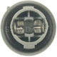 Purchase Top-Quality Front Side Marker Light Socket by BLUE STREAK (HYGRADE MOTOR) - S1728 pa21