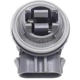 Purchase Top-Quality Front Side Marker Light Socket by BLUE STREAK (HYGRADE MOTOR) - S807 pa2