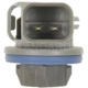 Purchase Top-Quality Front Side Marker Light Socket by BLUE STREAK (HYGRADE MOTOR) - S923 pa29