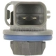 Purchase Top-Quality Front Side Marker Light Socket by BLUE STREAK (HYGRADE MOTOR) - S923 pa3