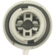 Purchase Top-Quality STANDARD - PRO SERIES - S1724 - License Lamp Socket pa1