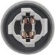 Purchase Top-Quality STANDARD - PRO SERIES - S1836 - Back Up Light Socket pa3