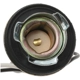 Purchase Top-Quality STANDARD - PRO SERIES - S501 - Back Up Light Socket pa2