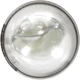 Purchase Top-Quality PHILIPS - 158LLB2 - Replacement Bulbs pa3