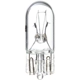 Purchase Top-Quality PHILIPS - 161B2 - Standard Bulbs pa1