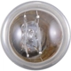 Purchase Top-Quality PHILIPS - 3496B2 - Turn Signal Light Bulb pa5