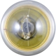 Purchase Top-Quality PHILIPS - 67B2 - Miniatures Standard Replacement Bulbs pa6