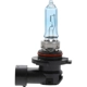 Purchase Top-Quality PHILIPS - 9005CVPB1 - Daytime Running Light Bulb pa7