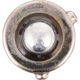Purchase Top-Quality Front Sidemarker by PHILIPS - H21WCP pa3