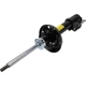 Purchase Top-Quality Front Strut by ACDELCO - 42504996 pa2