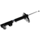 Purchase Top-Quality Front Strut by BILSTEIN - 22-044198 pa2