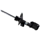 Purchase Top-Quality Jambe de force avant by BILSTEIN - 22-197313 pa2