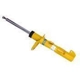 Purchase Top-Quality Front Strut by BILSTEIN - 22-249289 pa1
