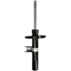 Purchase Top-Quality BILSTEIN - 22-323286 - Suspension Strut pa1