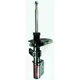 Purchase Top-Quality Front Strut by FCS AUTOMOTIVE - 331734 pa1