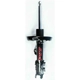 Purchase Top-Quality Front Strut by FCS AUTOMOTIVE - 333506L pa1