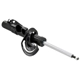 Purchase Top-Quality FCS AUTOMOTIVE - 333823R - Suspension Strut pa3