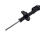 Purchase Top-Quality Front Strut by FCS AUTOMOTIVE - 334319L pa4