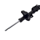 Purchase Top-Quality Front Strut by FCS AUTOMOTIVE - 334319R pa4