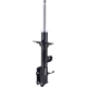 Purchase Top-Quality Front Strut by FCS AUTOMOTIVE - 334433L pa1