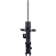 Purchase Top-Quality Front Strut by FCS AUTOMOTIVE - 334466L pa1