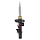 Purchase Top-Quality FCS AUTOMOTIVE - 99081 - Suspension Strut pa1