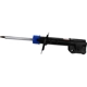 Purchase Top-Quality Front Strut by MOTORCRAFT - AST806095 pa3