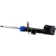 Purchase Top-Quality Front Strut by MOTORCRAFT - AST806107 pa3