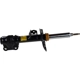 Purchase Top-Quality Front Strut by MOTORCRAFT - AST84830 pa2
