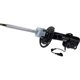 Purchase Top-Quality Front Strut by MOTORCRAFT - AST84853 pa4