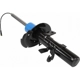 Purchase Top-Quality Front Strut by MOTORCRAFT - AST84866 pa3