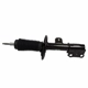 Purchase Top-Quality Front Strut by MOTORCRAFT - AST12274 pa3