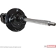 Purchase Top-Quality Front Strut by MOTORCRAFT - AST231 pa2